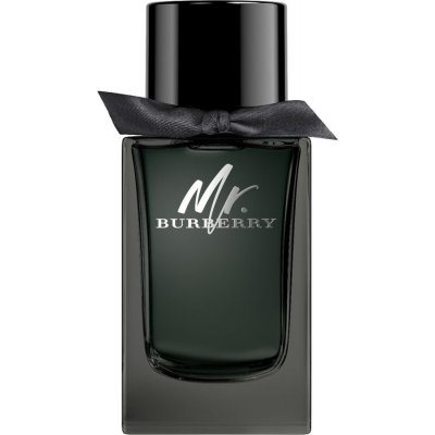 Burberry Mr. Burberry parfémovaná voda pánská 100 ml – Sleviste.cz