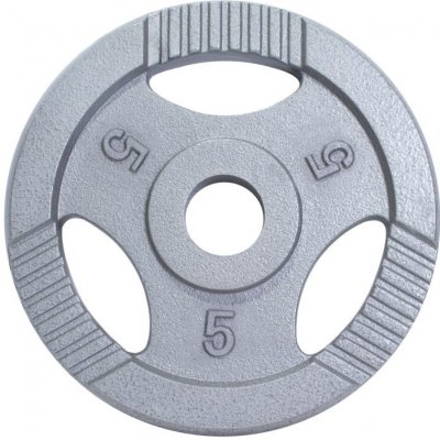 Gorilla Sports litina 5 kg 225 mm – Hledejceny.cz