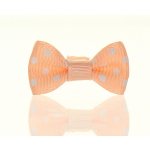 Mašlička puntík lososová – Zboží Dáma