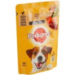 Pedigree Adult kuře zelenina 100 g – Sleviste.cz