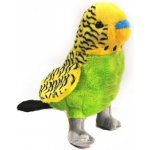 Andulka žlutá – Zboží Dáma