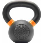 Ariana PS-4101 KETTLEBELL EVO 8kg – Zboží Mobilmania