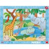 Puzzle Dino Zvířátka v ZOO 40 dílků