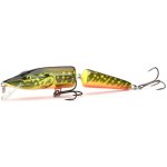 SALMO Pike Jointed floating 11 cm Hot Pike – Hledejceny.cz