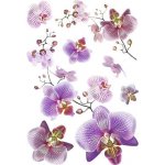 AG Design SM3440 Samolepicí dekorace Orchidej, rozměry 42,5 x 65 cm – Sleviste.cz