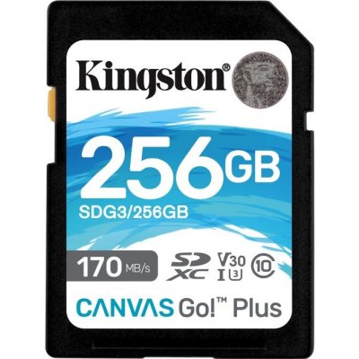 Kingston SDXC Class 10 256 GB SDG3/256GB – Zboží Mobilmania