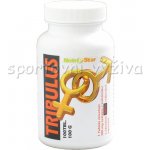 Nutristar Tribulus E Kotvičník 100 tablet – Hledejceny.cz