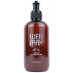 WellMax Repair Conditioner 250 ml – Zboží Dáma