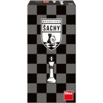 Dino Magnetické šachy – Hledejceny.cz