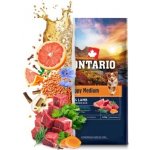 Ontario Puppy Medium Lamb & Brown Rice 6,5 kg – Hledejceny.cz