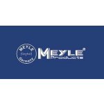 MEYLE 100 919 0029 Olejový tlakový spínač 100 919 0029 – Hledejceny.cz