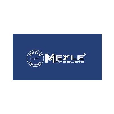 MEYLE 100 919 0029 Olejový tlakový spínač 100 919 0029 – Hledejceny.cz