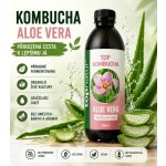 Topnatur top bio Kombucha Aloe vera 0,5 l – Zboží Dáma
