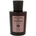 Acqua Di Parma Colonia Leather Concentrée kolínská voda pánská 100 ml – Hledejceny.cz