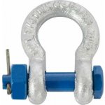 Riggatec Shackle 5/16" | WLL 0,75t | Nut & Cotter – Zboží Mobilmania