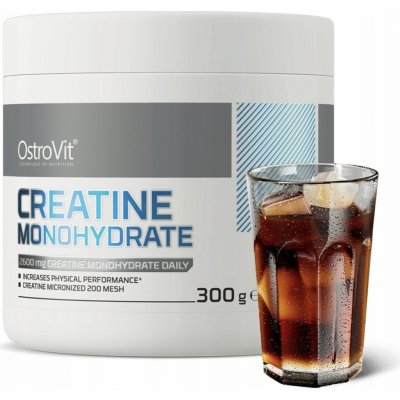 OSTROVIT Creatine 300 g – Hledejceny.cz