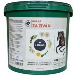 Leros Zažívání Horse 1 kg – Zboží Dáma
