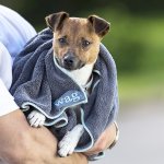 Henry Wag ručník pro psy z mikrovlákna L 150 x 100 cm – Zboží Mobilmania