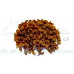 Koňské bylinky Rakytník řešetlákový plod Hippophae rhamnoides 0,5 kg – Hledejceny.cz