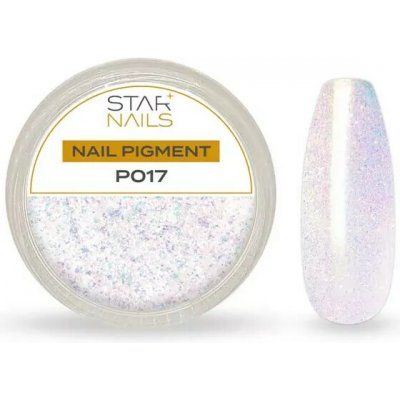 Starnails Nail Art zdobení pigment P017 – Hledejceny.cz