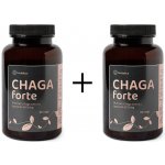 Herbatica 2× Čaga sibiřská Forte 60 veganských kapslí 600 mg – Hledejceny.cz