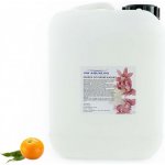 PM Aqualog esence do parních kabin eukalyptus-pomeranč 953-005/D 5 l – Hledejceny.cz