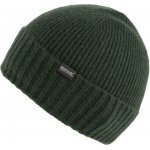 Regatta Ribbed Basic beanie zelená – Hledejceny.cz