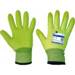 CERVA TURTUR – HobbyKompas.cz