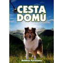 Cesta domů