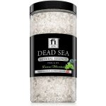 Fi SPA Mineral Essence Eukalyptus mentol 500ml – Hledejceny.cz