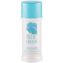 Elizabeth Arden Blue Grass Cream deostick Woman 40 ml