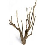 Macenauer kořen Talawa Wood XL 80-100 cm – Zboží Dáma