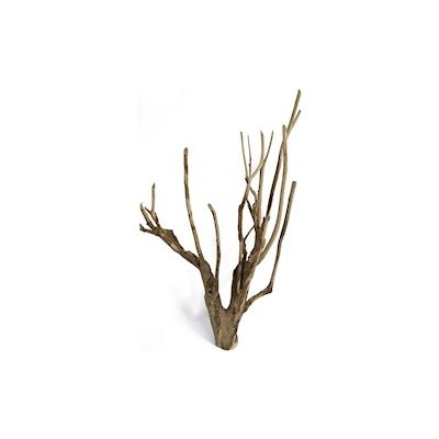 Macenauer kořen Talawa Wood XL 80-100 cm – Zboží Dáma