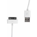 Whitenergy 09971 USB 2.0 pro iPhone 4 přenos dat/nabíjení 30cm, černý