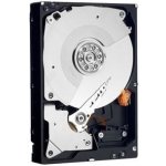 WD RE4 250GB, WD2503ABYZ – Hledejceny.cz