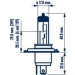 Narva H4 P43t-38 12V 60/55W – Hledejceny.cz