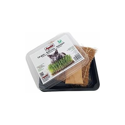 Jindřich Šíp Kočičí tráva Apetit pěstební miska, kokos.rohož, 30 g – Hledejceny.cz