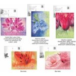 ARGUS Gratulační pohlednice 06150554-c – Zboží Dáma