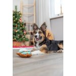 Trixie Xmas Santa 22 cm – Zboží Dáma