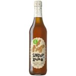 Koldokol Zázvor sirup BIO 0,5 l – Hledejceny.cz