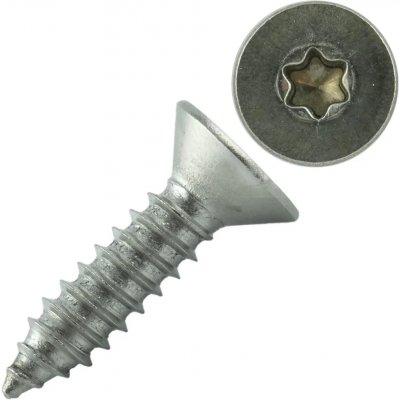 Šroub DIN 7982C nerez A2 4,2x16 Torx – Hledejceny.cz