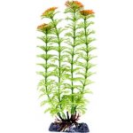 Penn Plax Ambulia Green L 28 cm – Hledejceny.cz