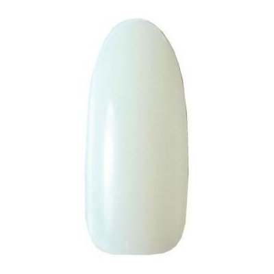 Divine cosmetics NT09 umělé nehty E-nail 40 ks – Hledejceny.cz