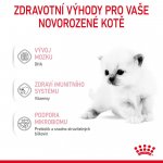 Royal Canin BabyCat milk 0,3 kg – Sleviste.cz