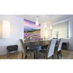 Dimex MS-2-0064 vliesová fototapeta na zeď Krokusy na jaře rozměry 150 x 250 cm – Zboží Mobilmania