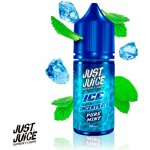 Just Juice ICE - Pure Mint 30 ml – Zboží Dáma Just Juice ICE - Pure Mint 30 ml – Zboží Dáma