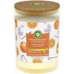 Air Wick Essential Oils Blood Orange & Incense 185 g – Zboží Mobilmania