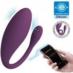 Pretty Love Dora Purple, bluetooth vibrační vajíčko – Zboží Dáma