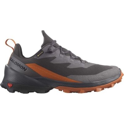 Salomon Cross Over 2 Gore Tex L47265000 magnet phantom spice route – Zboží Mobilmania