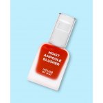 House of HUR Tvářenka Moist Ampoule Blusher No,10 Grape Heat 20 ml – Hledejceny.cz